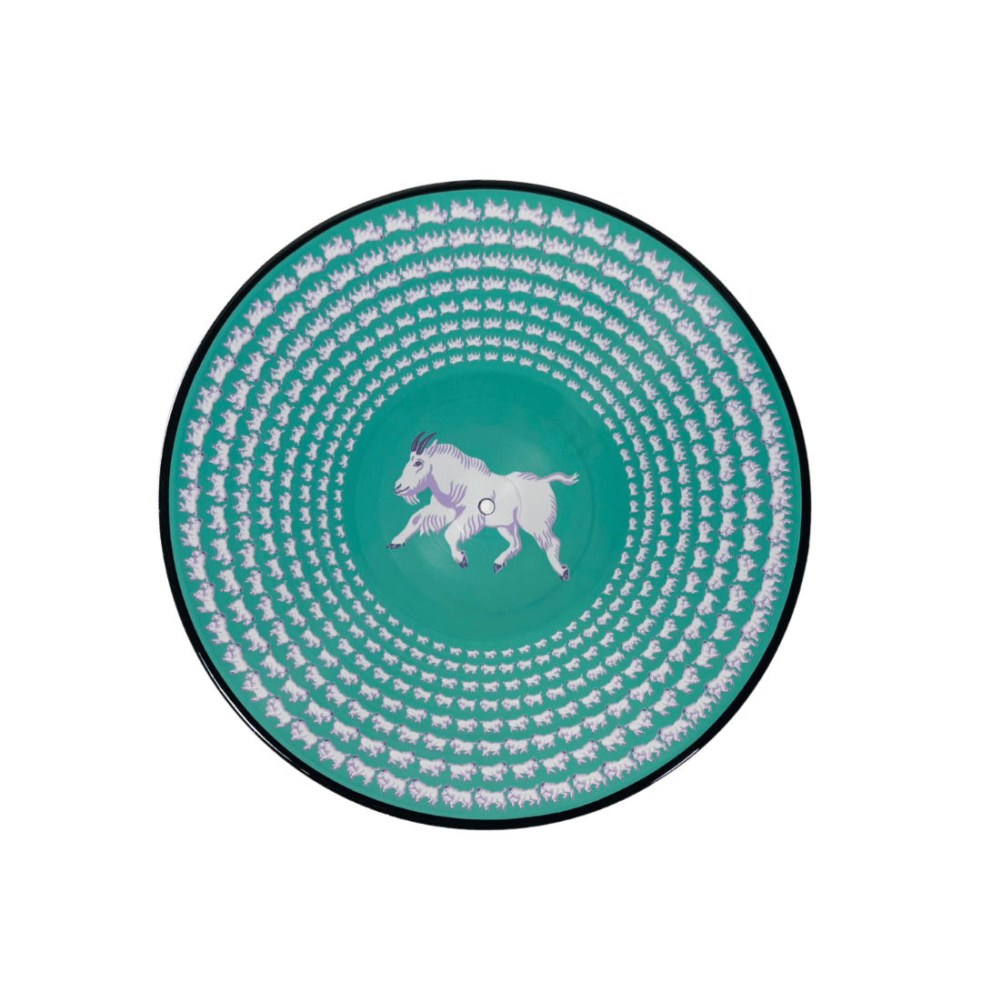 The Mountain Goat Vinyl - Zoetrope + Signed Insert - Vinyl